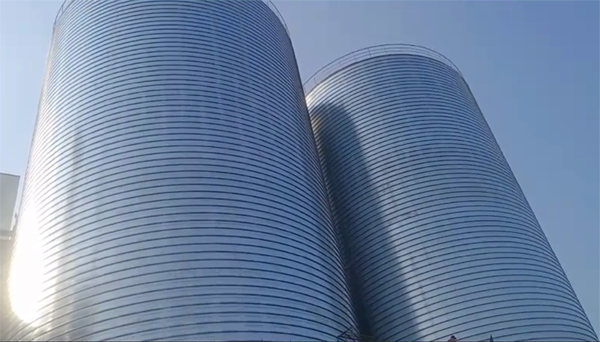 南和2座混凝土高架卷板仓